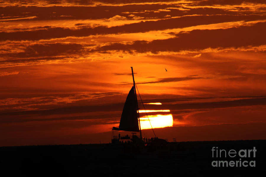 Key west Sunset Photograph by Steven Spak