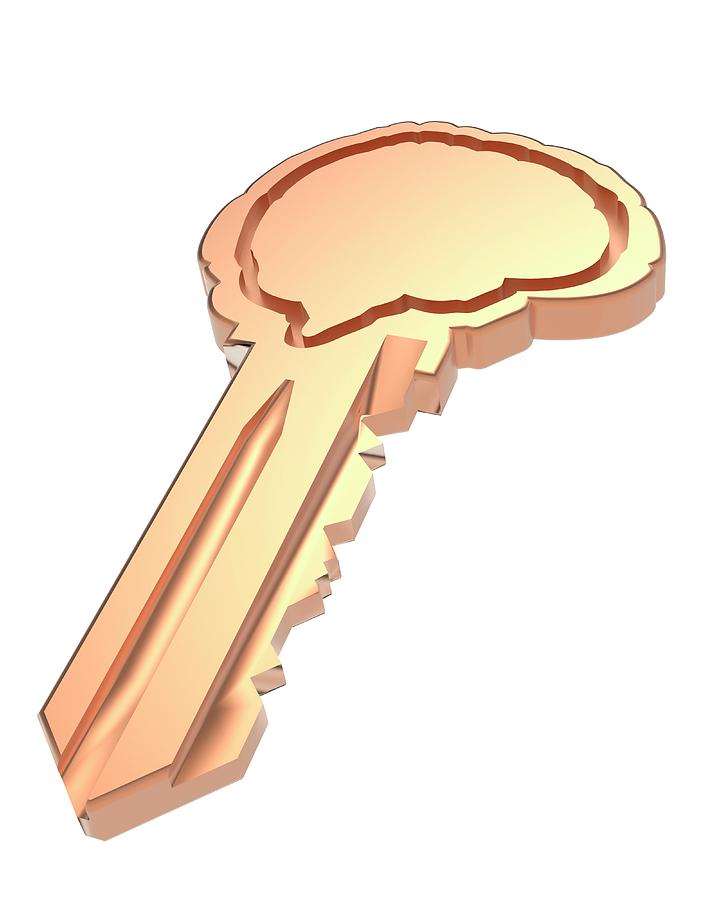 Key With Brain Shape Photograph by Alfred Pasieka