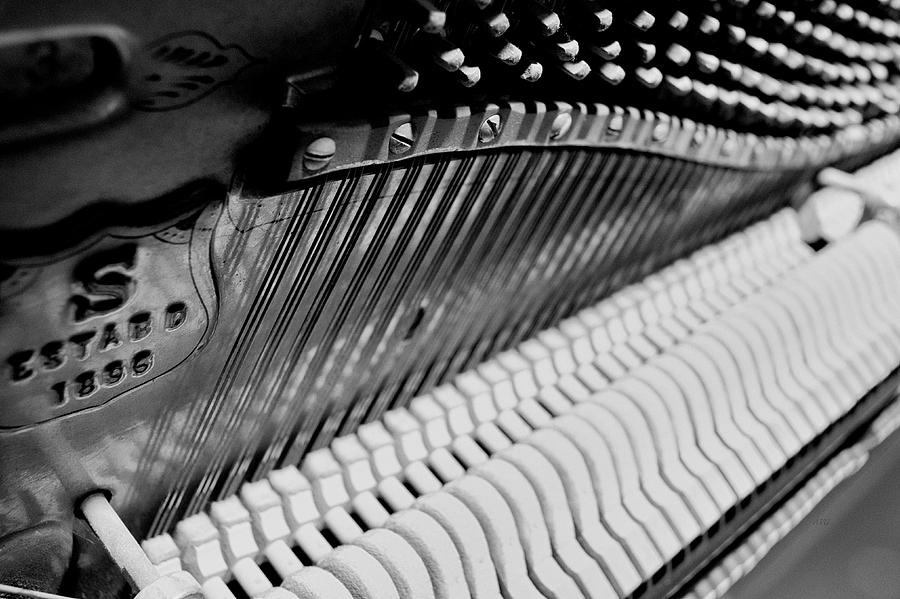 Music Photograph - Keyboard To Soundboard by Allan Van Gasbeck