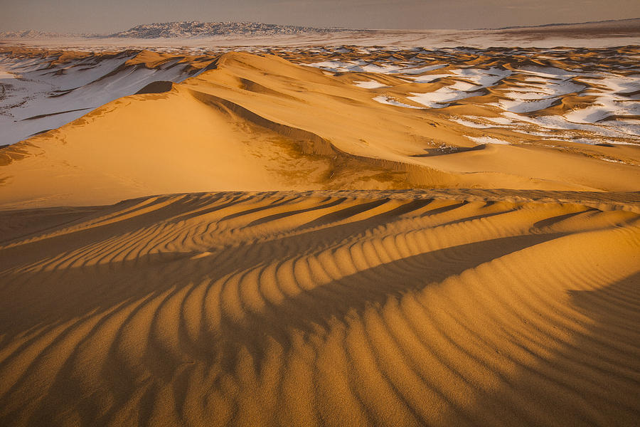 Khongor Sand Dunes In Winter Gobi Desert Photograph by Colin Monteath