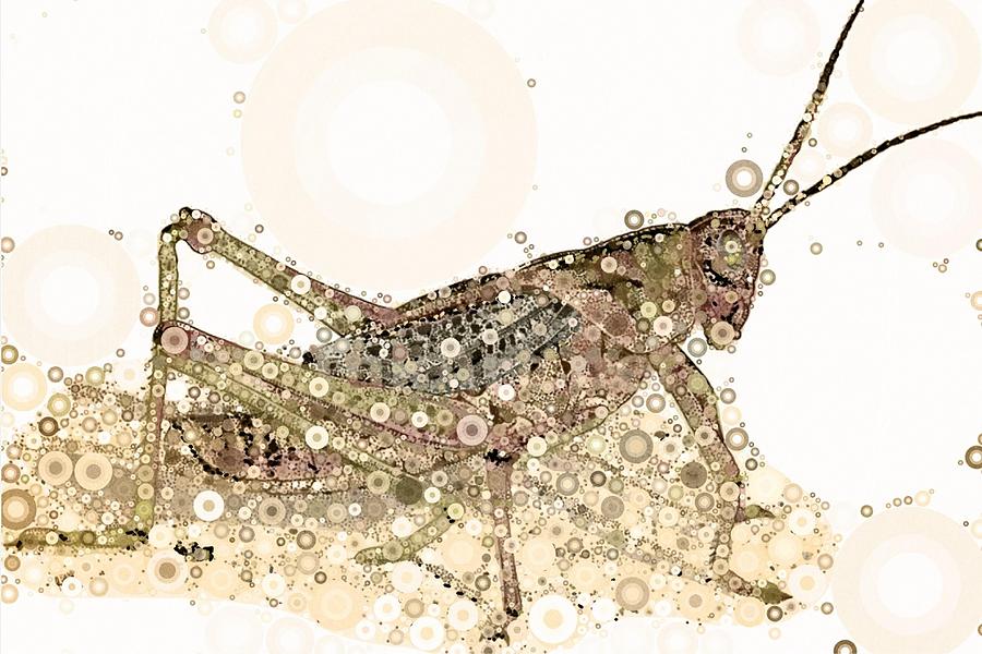 Grasshopper Digital Art - Kicking Up Dust by Steven Boland