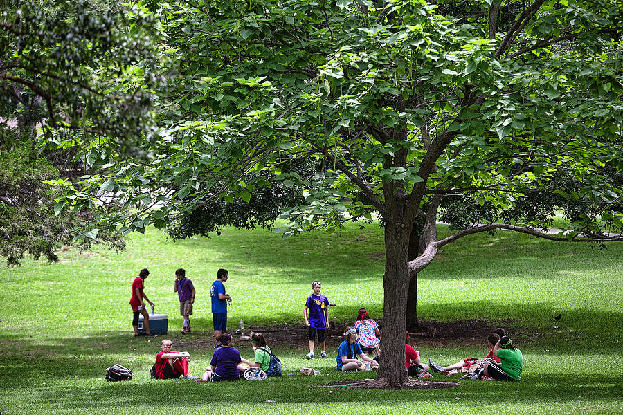 Summer Photograph - Kids Picnic om Texas Capitol Grounds by Linda Phelps
