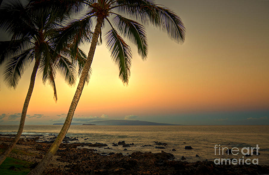 Kihei Palm Sunrise Photograph by Kelly Wade