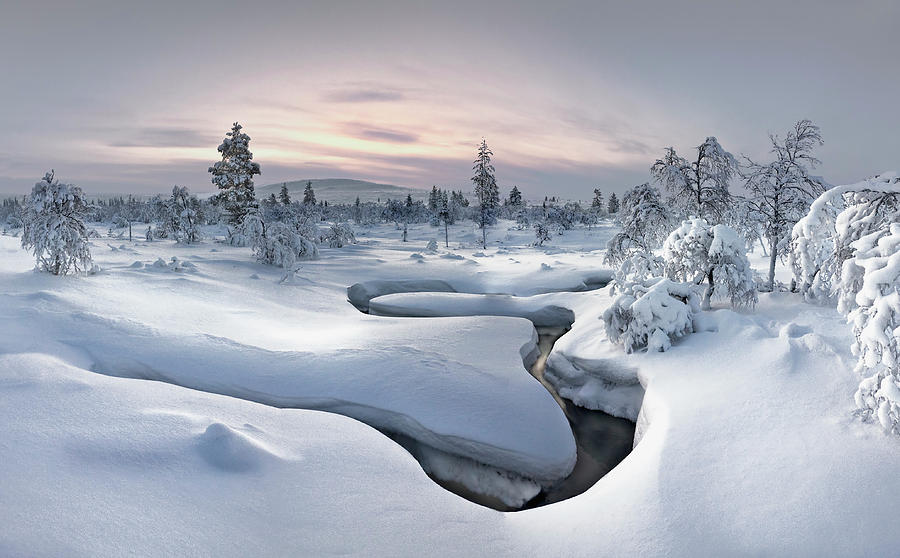Finland Photograph - Kiilopa?a? - Lapland by Christian Schweiger