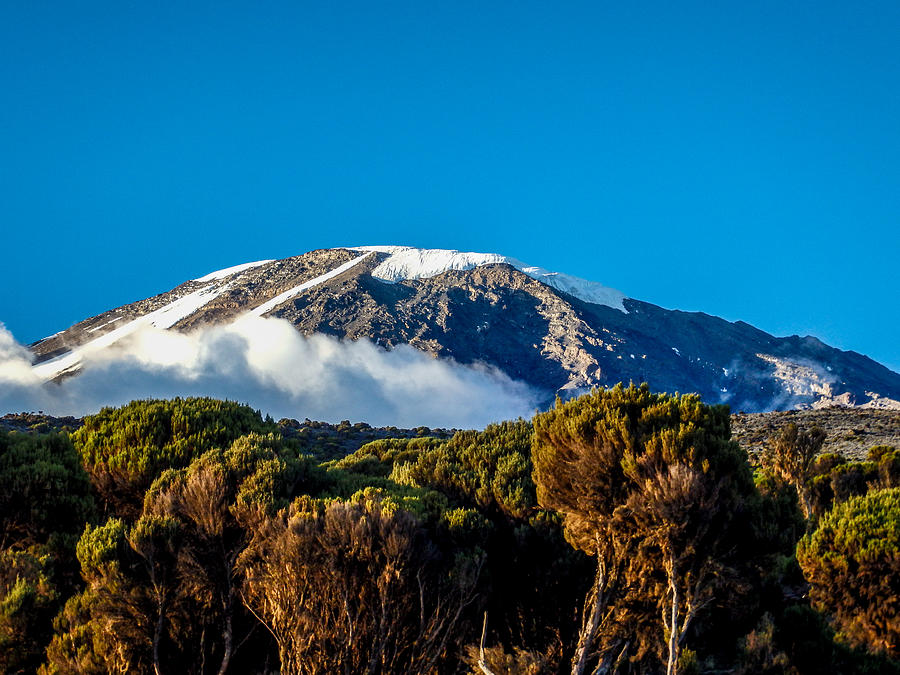2013 Photograph - Kilimanjaro by Jim DeLillo
