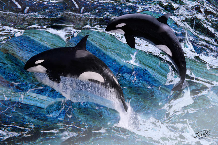 Wild Orca Whales of Florida Painting by M Spadecaller