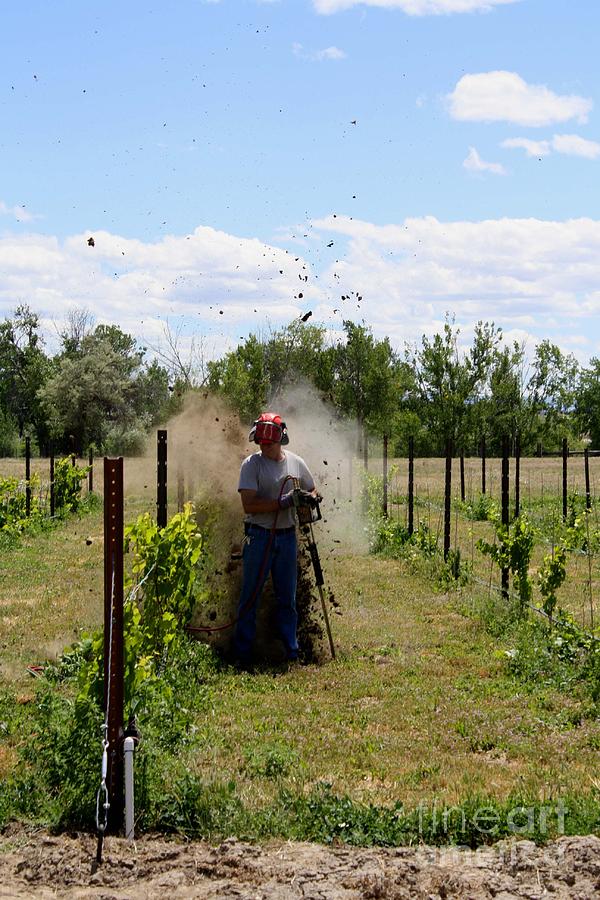 Killing Gophers Photograph by John Langdon - Pixels