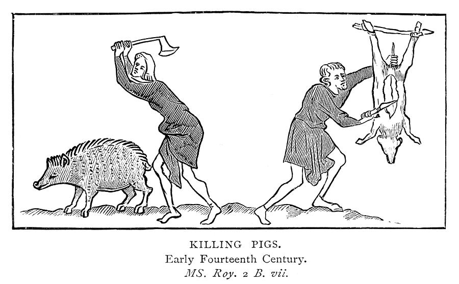 Killing Pigs, 14th Century Painting by Granger