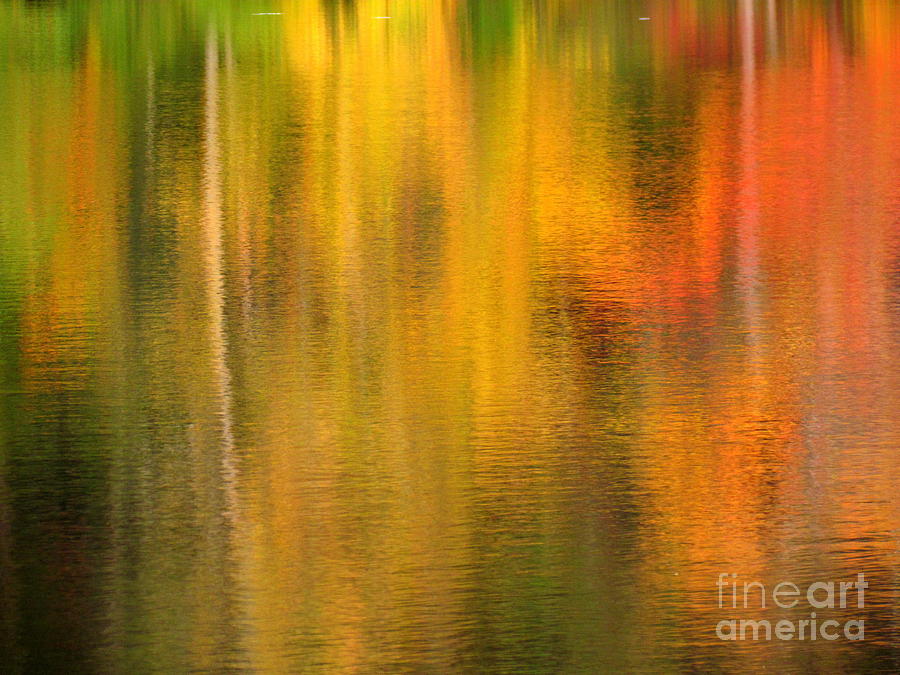 Killingly Autumn Abstract II Photograph by Lili Feinstein