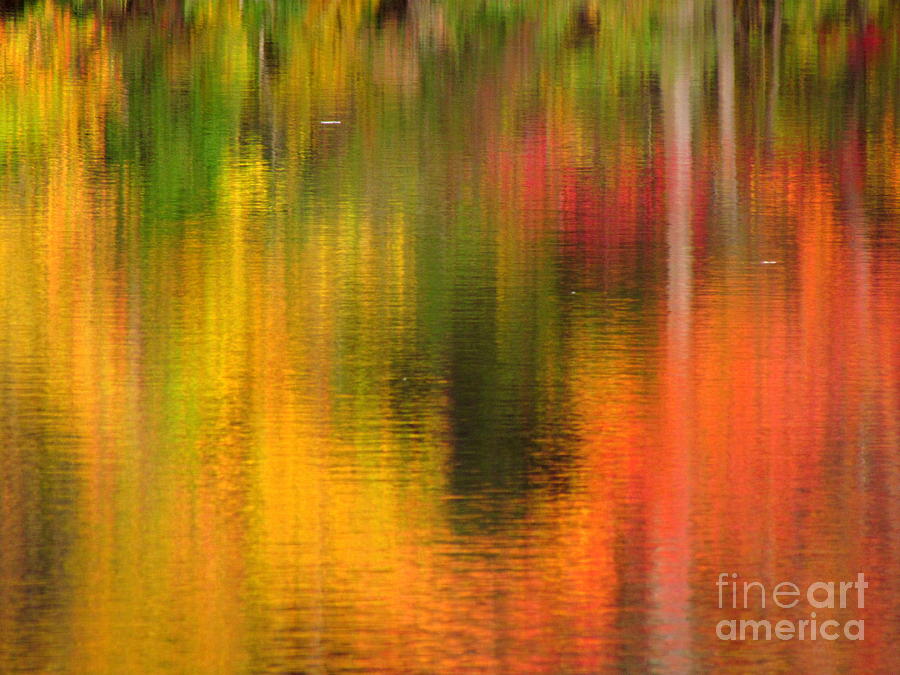 Killingly Autumn Abstract III Photograph by Lili Feinstein