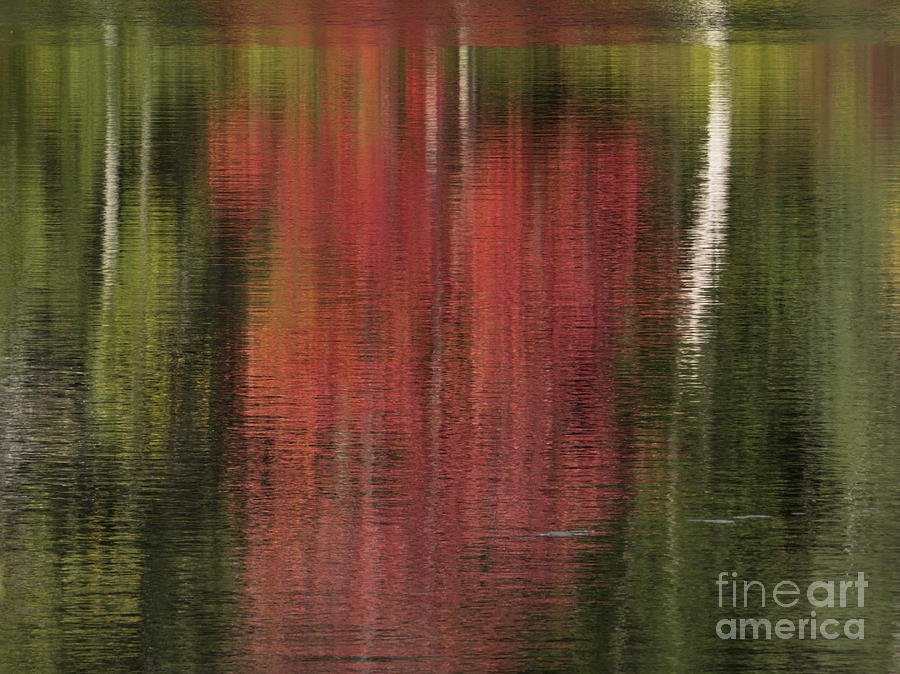 Killingly Autumn Abstract IV Photograph by Lili Feinstein