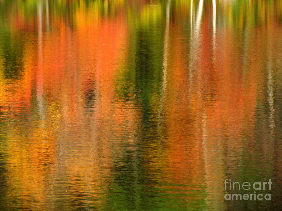 Killingly Autumn Abstract Photograph by Lili Feinstein