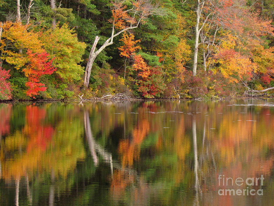 Killingly Autumn Reflections III Photograph by Lili Feinstein