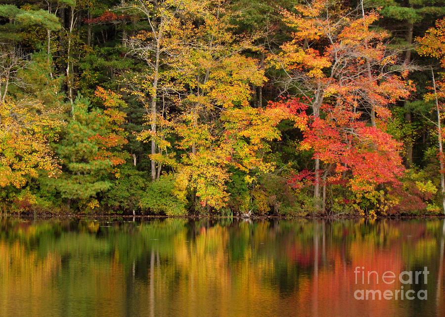 Killingly Autumn Reflections IV Photograph by Lili Feinstein