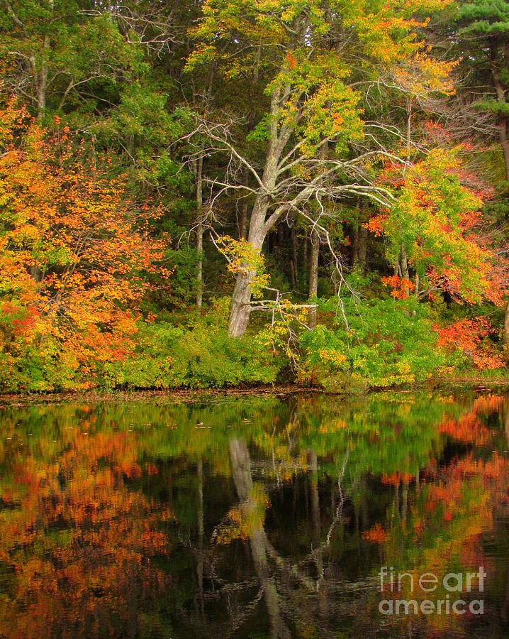 Killingly Autumn Reflections IX Photograph by Lili Feinstein