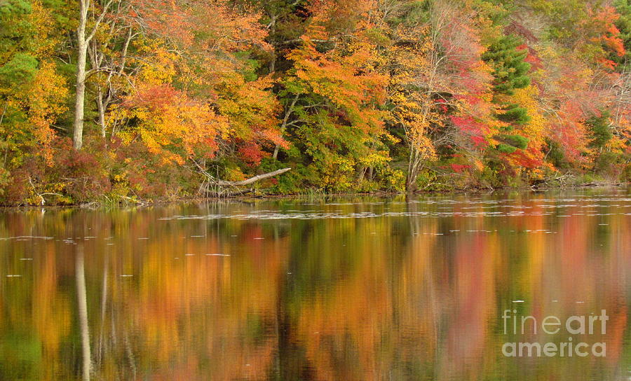 Killingly Autumn Reflections V Photograph by Lili Feinstein
