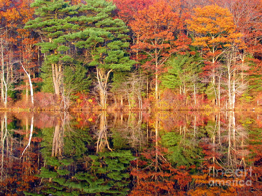 Killingly Autumn Reflections VI Photograph by Lili Feinstein