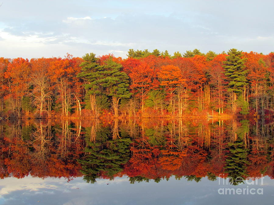 Killingly Autumn Reflections VII Photograph by Lili Feinstein