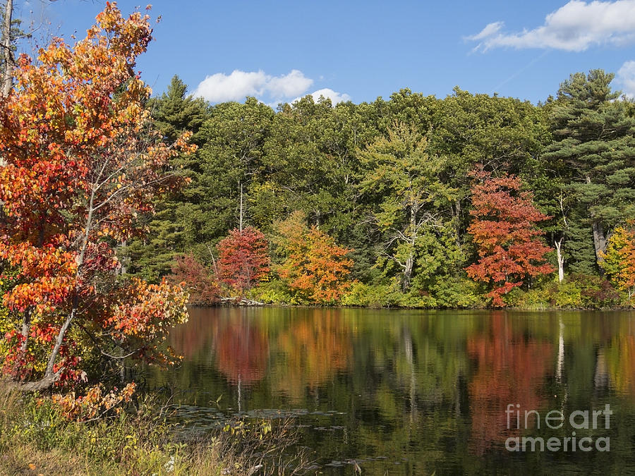 Killingly Autumn Reflections XII Photograph by Lili Feinstein