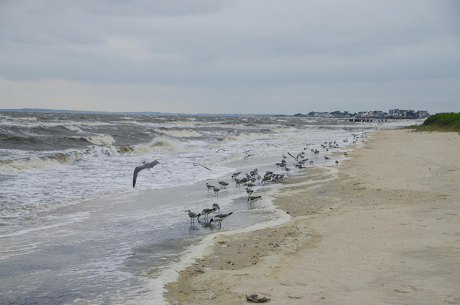 Kimble Beach New Jersey Photograph by Bill Cannon - Pixels