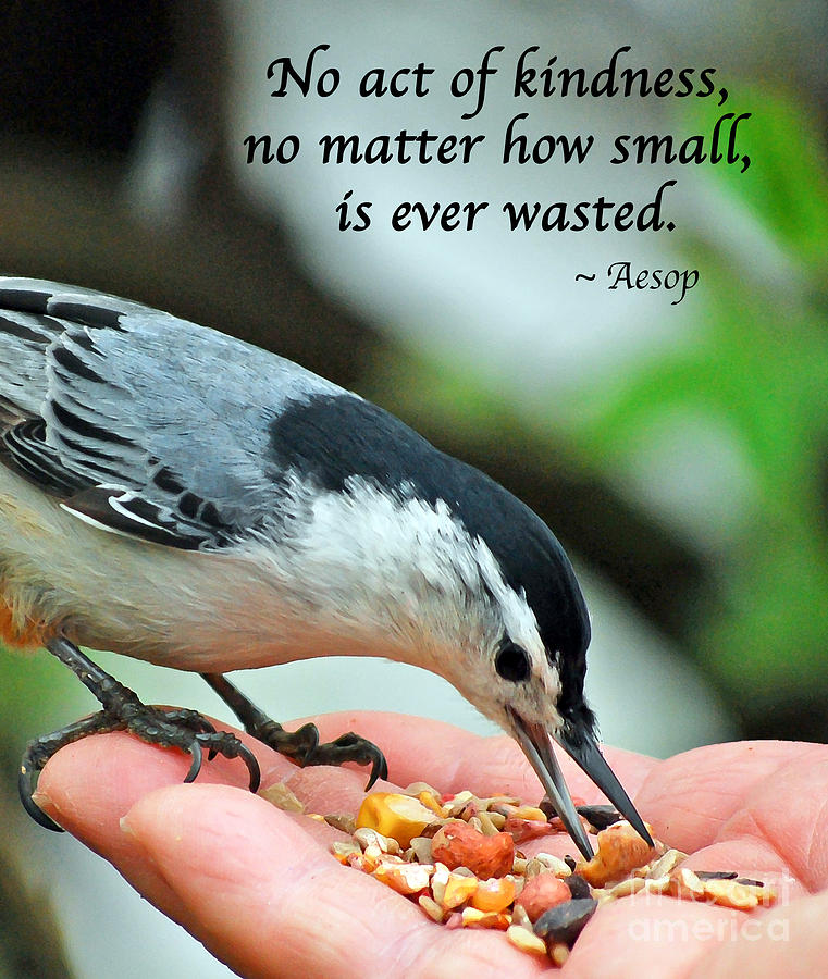Kindness Is Never Wasted Photograph by Kerri Farley