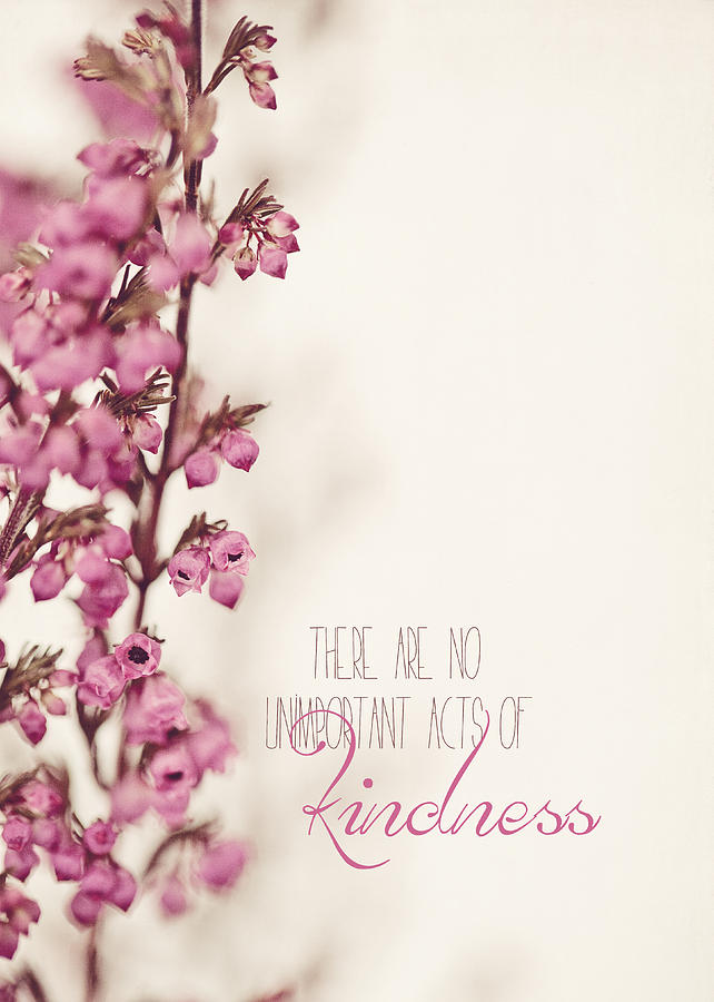 Kindness Photograph by Karie Lee - Pixels