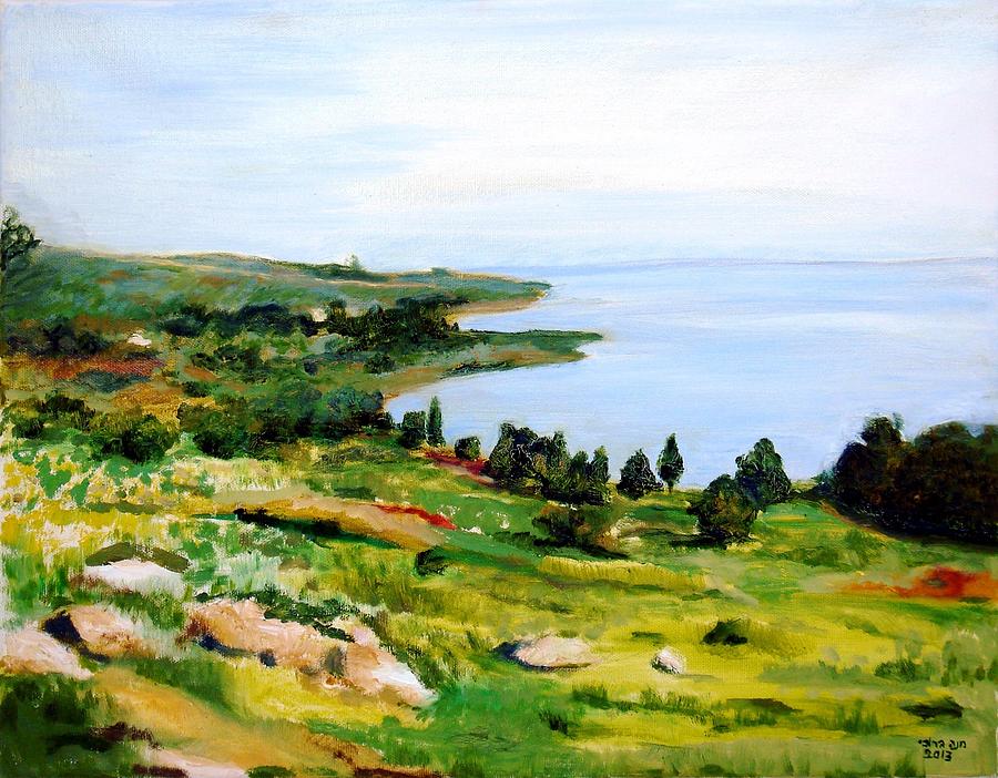 Kineret lake in Israel Painting by Amatzia Baruchi
