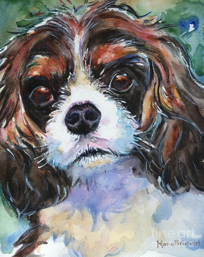 King Charles Spaniel  Painting by Maria Reichert