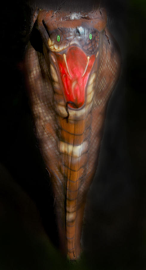 Snake Mixed Media - King Cobra Palm Frond by Craig Incardone