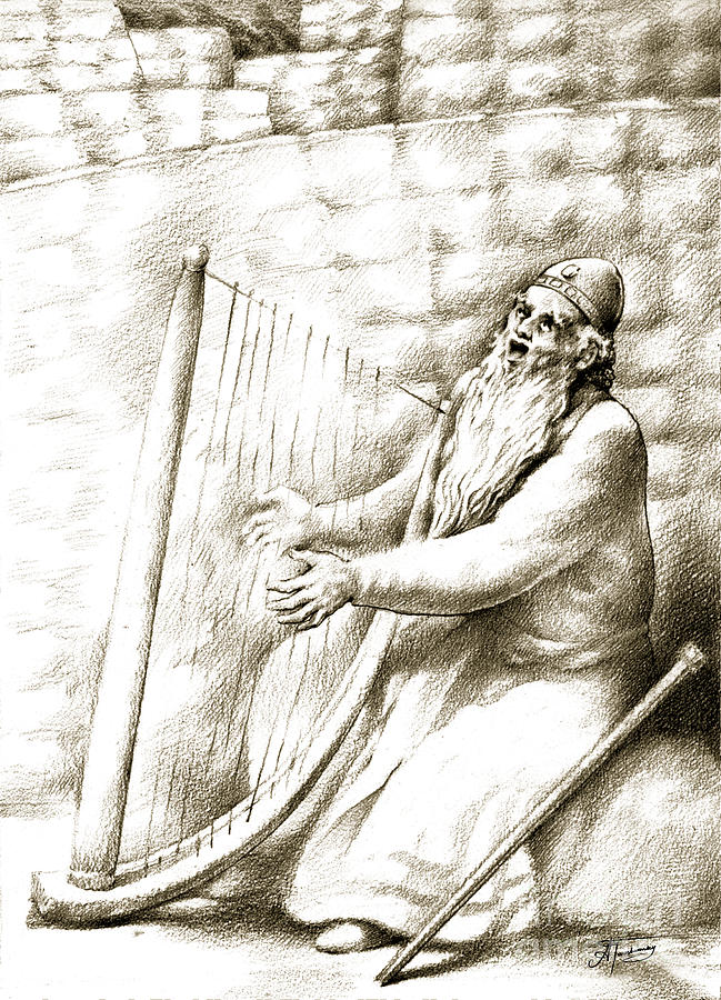 King David Drawing by Alex Tavshunsky