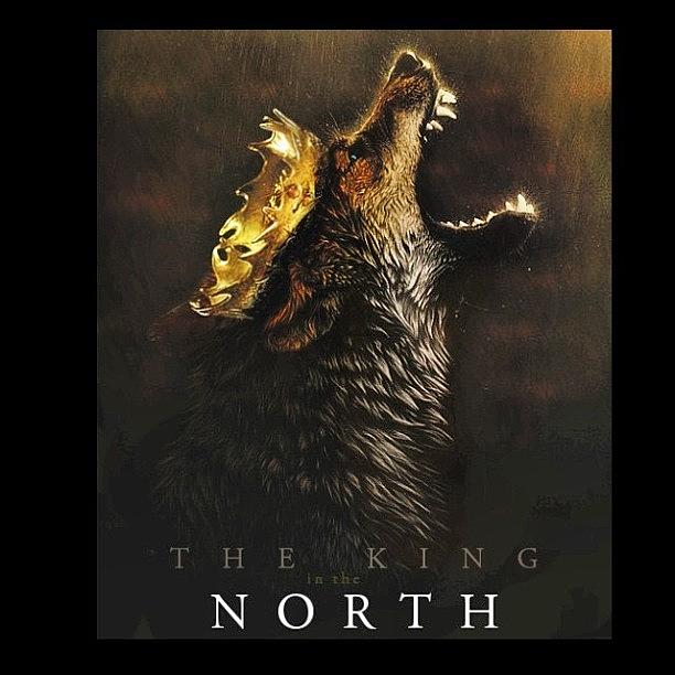 Stark Photograph - King In The North. #stark #gameofthones by Salman Junejo