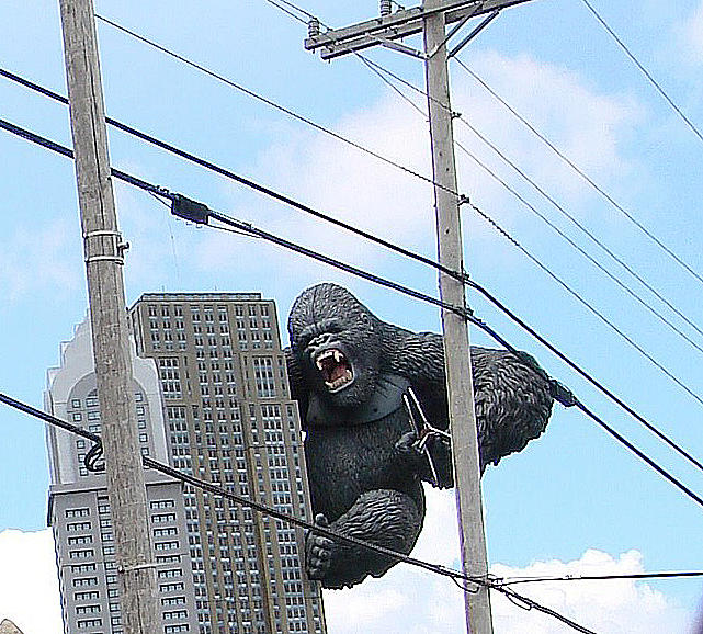 King Kong Photograph by Mary Halpin
