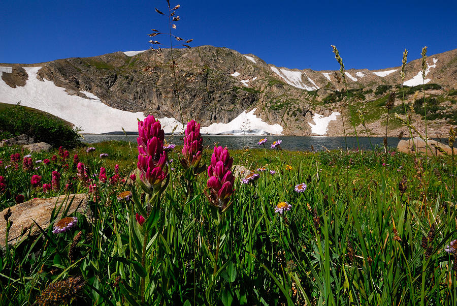 King Lake Photograph by Stefan Carpenter - Fine Art America