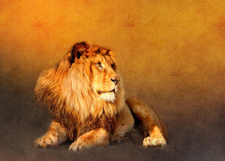 Animal Mixed Media - King Leo by Heike Hultsch Animal Mixed Media - King Leo by Heike Hultsch