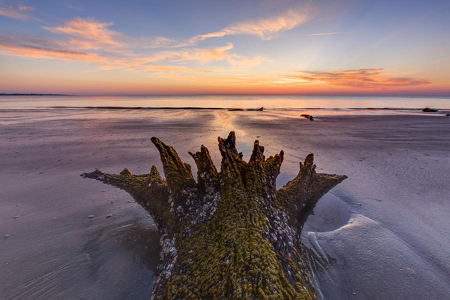 Beach Photograph - King Neptune by Debra and Dave Vanderlaan