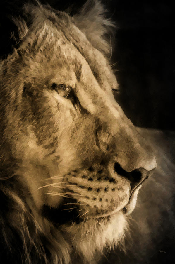 Lion Digital Art - King of Beasts by Ernest Echols