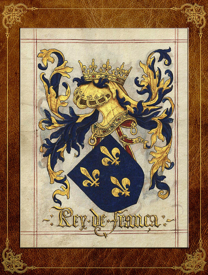 King of France - Medieval Coat of Arms  Digital Art by Serge Averbukh