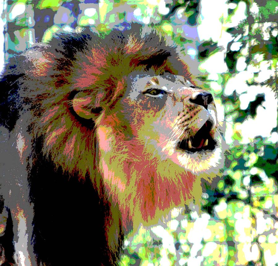 King Of The Jungle Photograph by Deena Stoddard