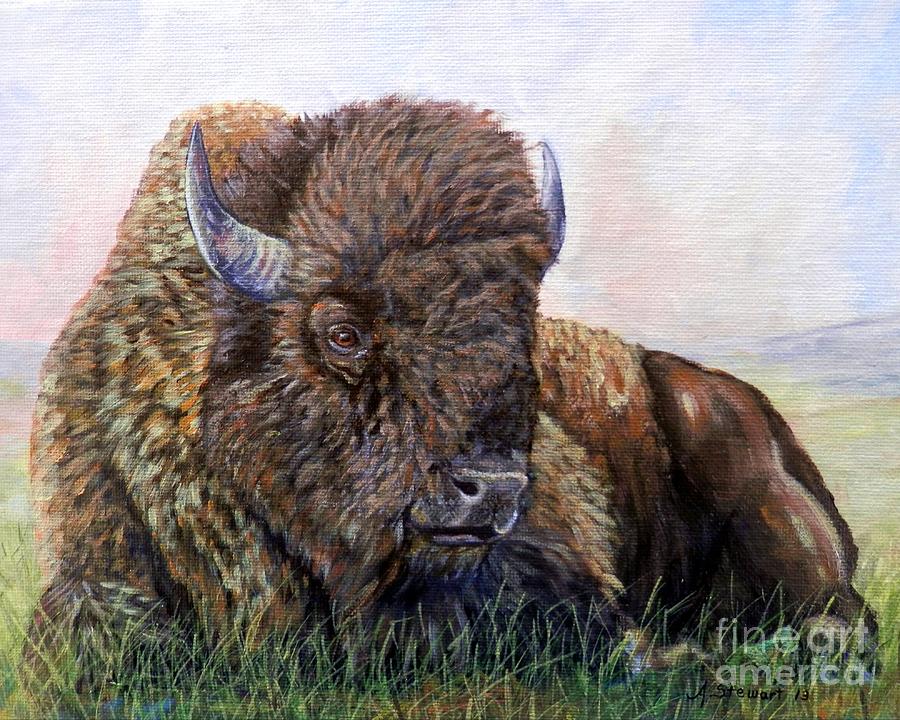 Buffalo Painting - King of the Plains by Amanda Hukill