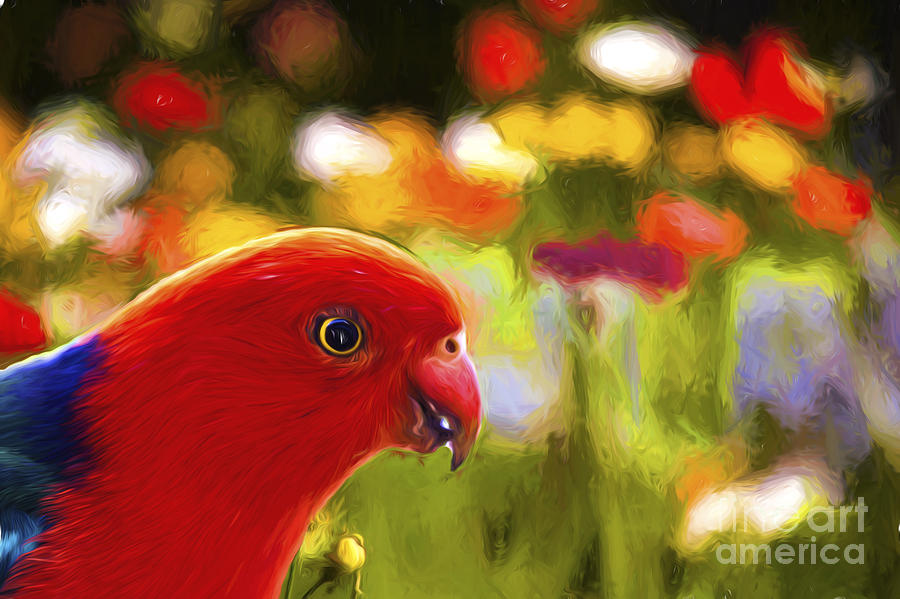 Bird Photograph - King parrot with flowers by Sheila Smart Fine Art Photography
