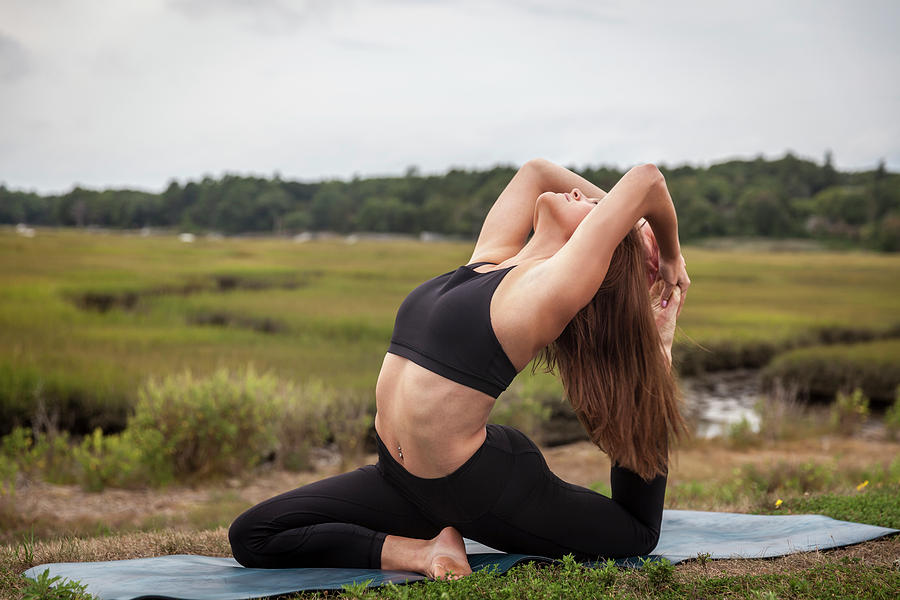 King Pigeon Pose Photograph by Lucie Wicker | Fine Art America