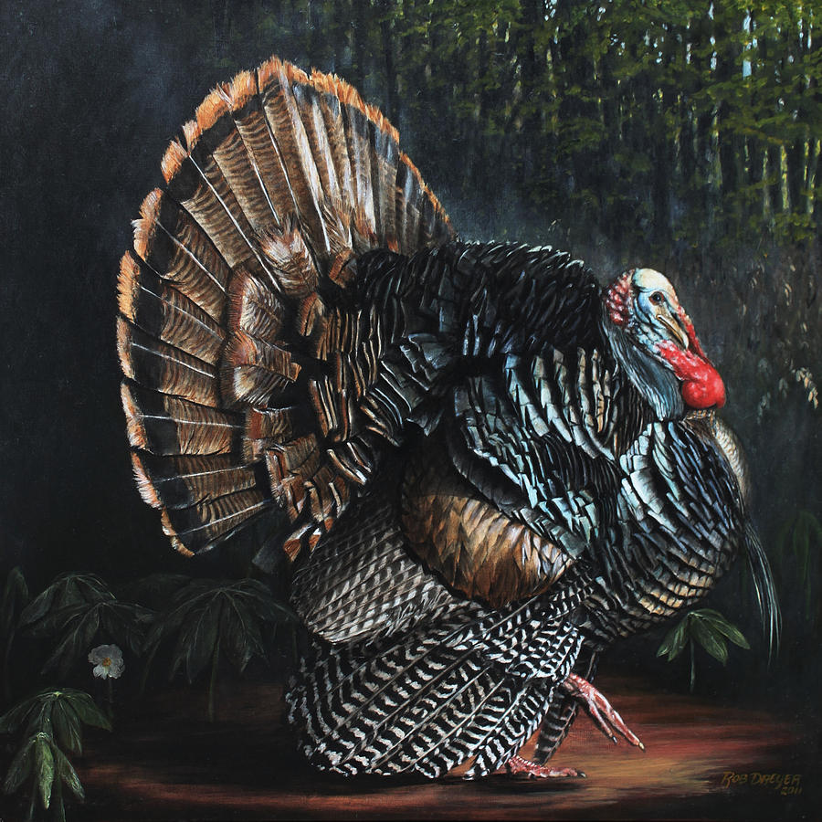 Turkey Painting - King Strut by Dreyer Wildlife Print Collections 