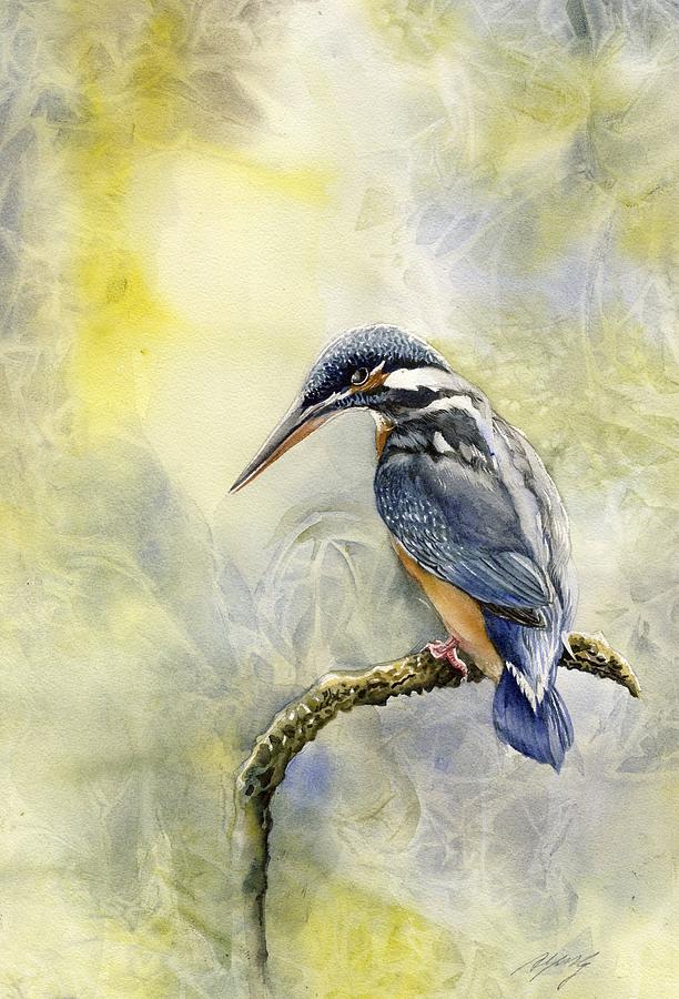 Bird Watercolor Painting - Kingfisher Revisit by Alfred Ng