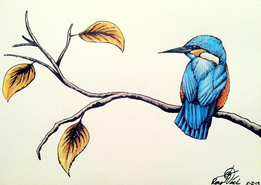 Common Kingfisher! Original drawing available at our shop! Link in bio!  Also, thanks to everyone who listened to the single!! Really app... |  Instagram