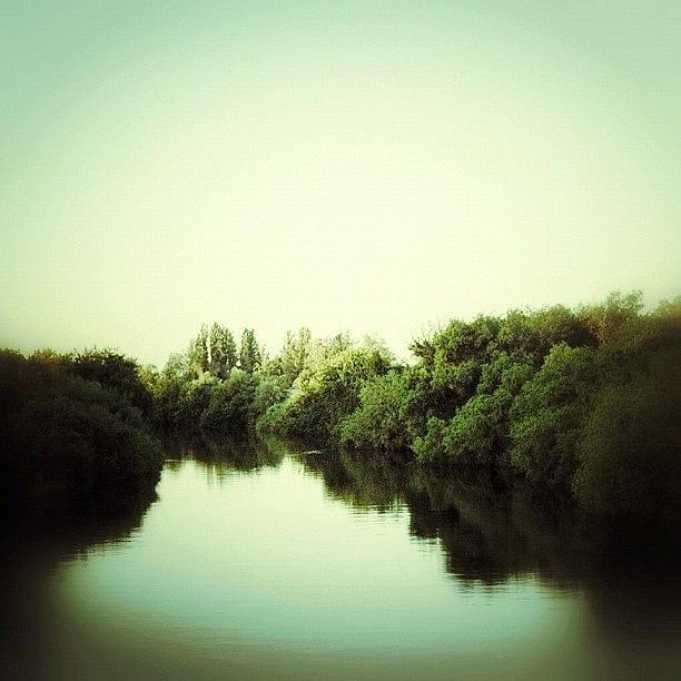 Landscape Photograph - Kings River by Suzanne Clark