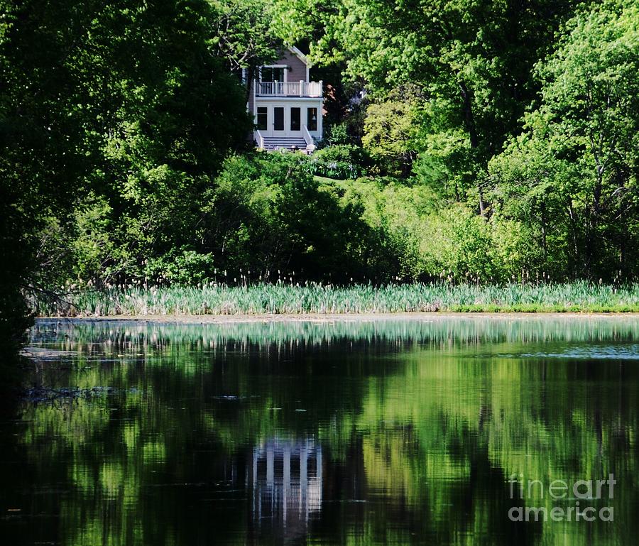 Summertime Reflections Kingsbury Pond, Medfield   Photograph by Marcus Dagan