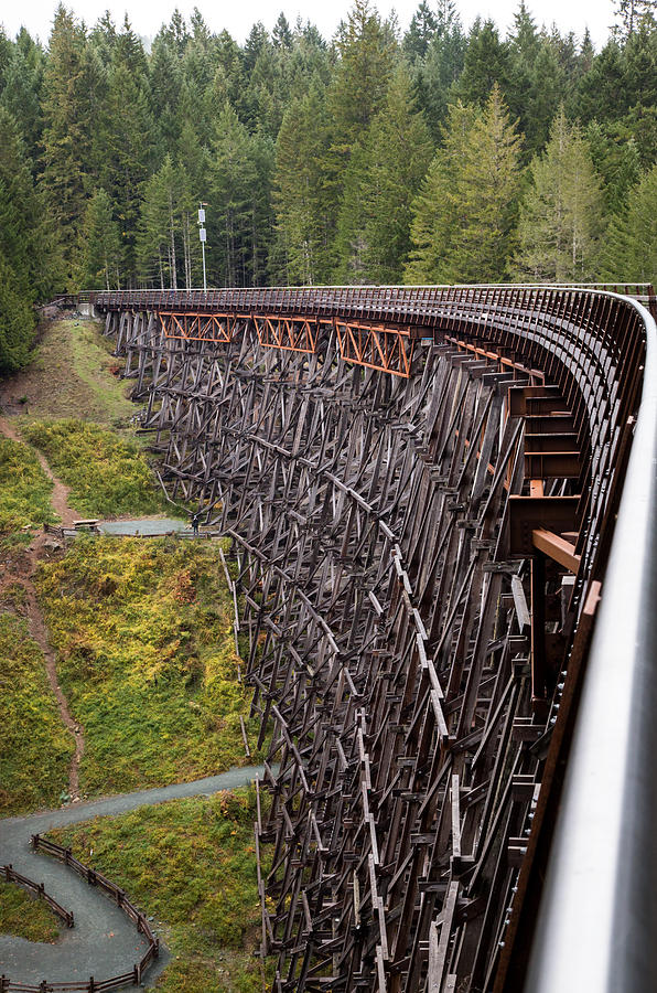 Kinsol Trestle Photograph by John Daly