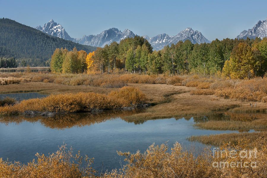 Kiss Of Fall In The Grand Tetons Photograph by Sandra Bronstein