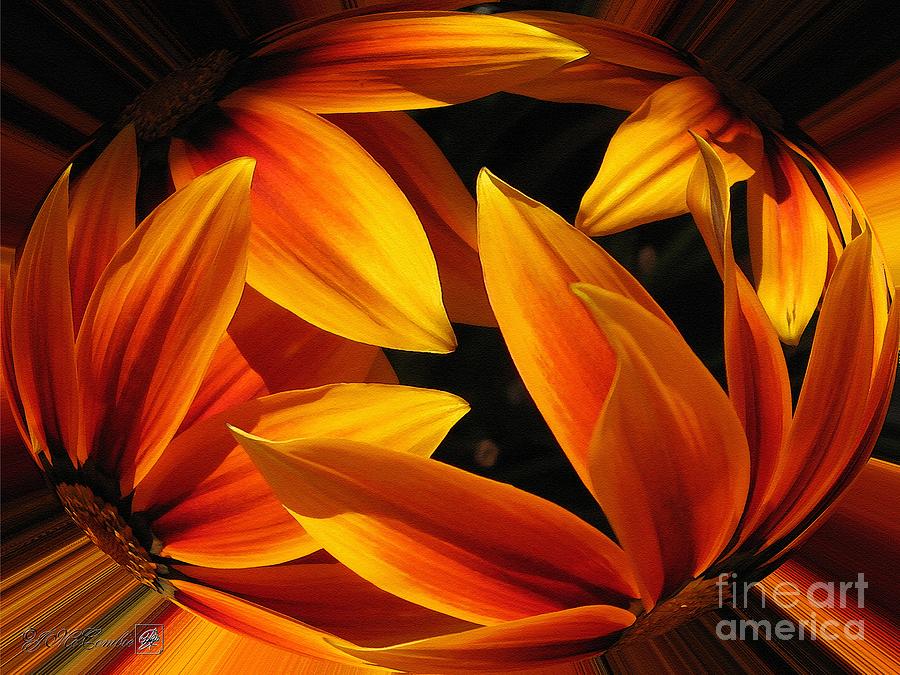 Flower Painting - Kiss Orange Flame Abstract by J McCombie