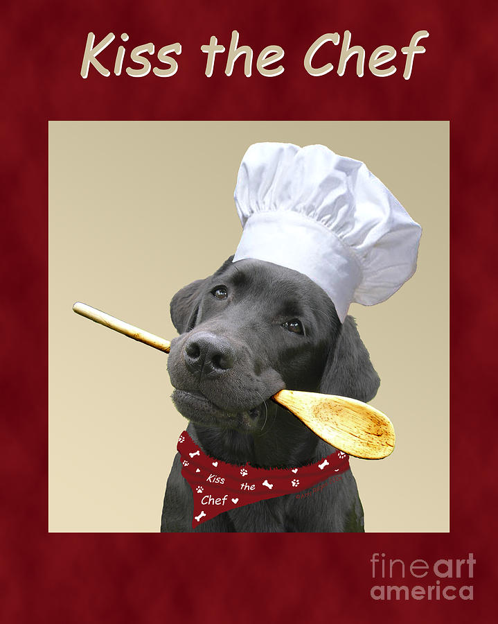 Dog Photograph - Kiss the Chef by Amy Reges
